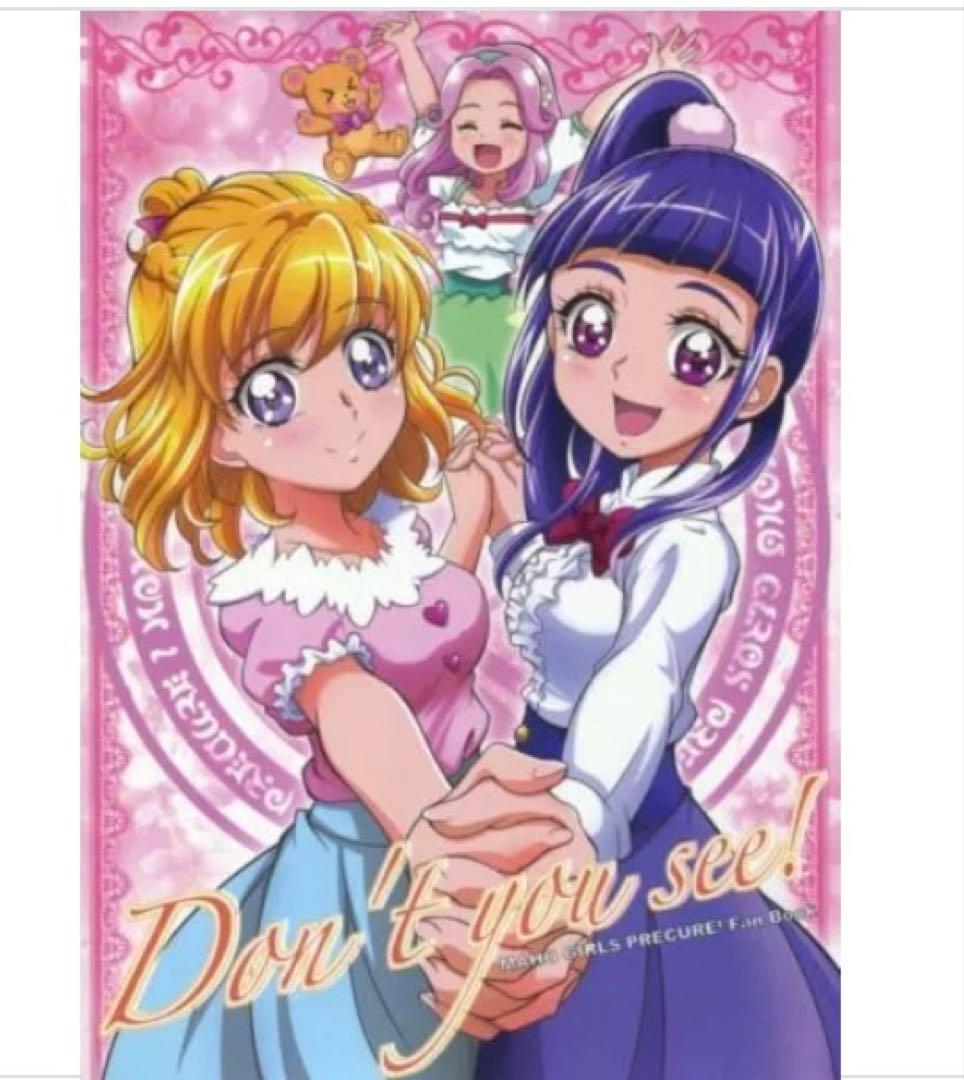 男性向一般同人誌　プリキュア　Don’t you see! / 半蔵 / 紙砦