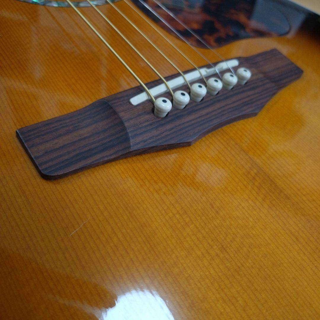 Morris エレアコ G-51 アコースティックギター