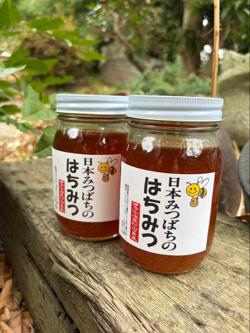 ハチミツ　日本蜜蜂の蜂蜜　奥山の奥