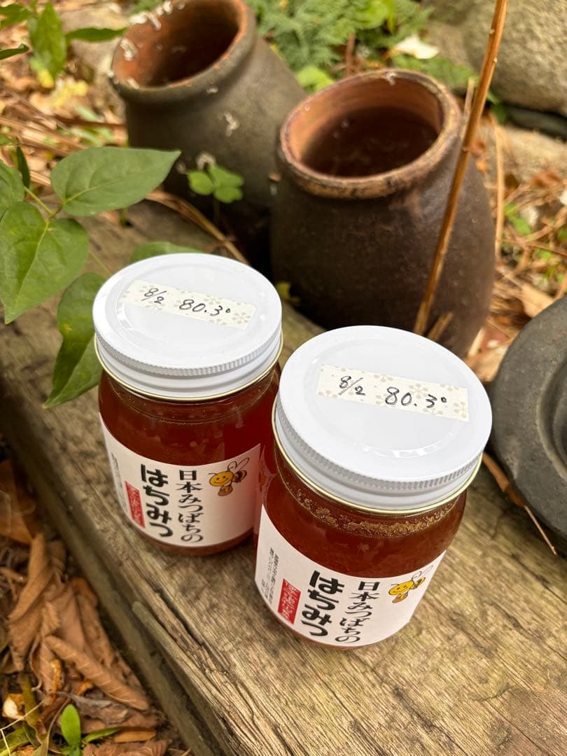ハチミツ　日本蜜蜂の蜂蜜　奥山の奥
