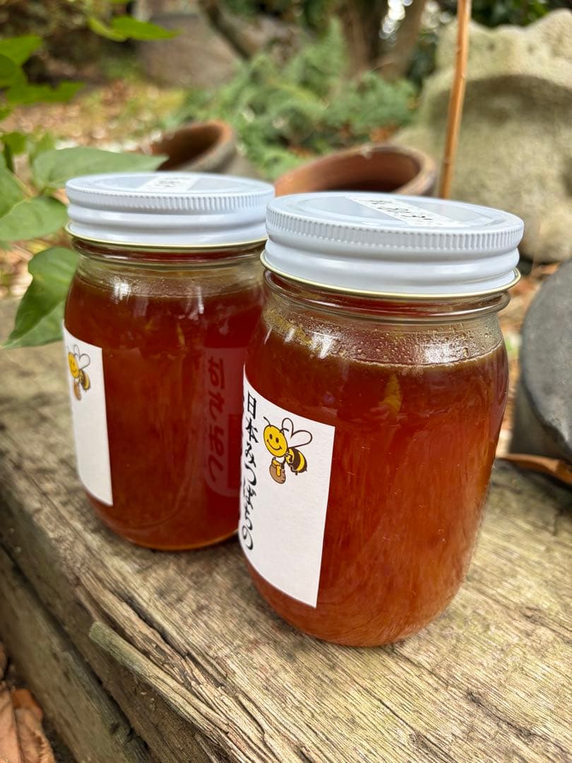 ハチミツ　日本蜜蜂の蜂蜜　奥山の奥