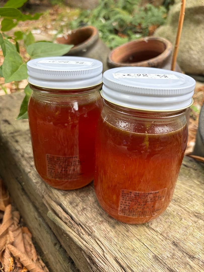 ハチミツ　日本蜜蜂の蜂蜜　奥山の奥