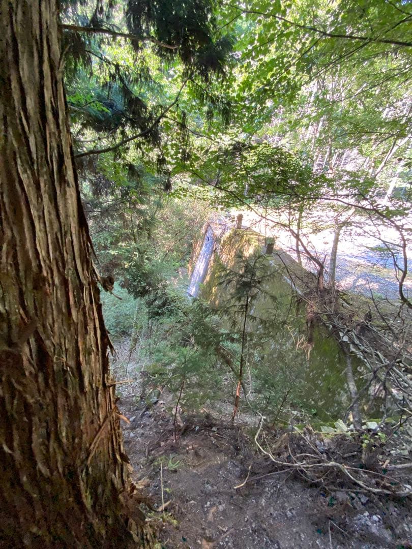 ハチミツ　日本蜜蜂の蜂蜜　奥山の奥