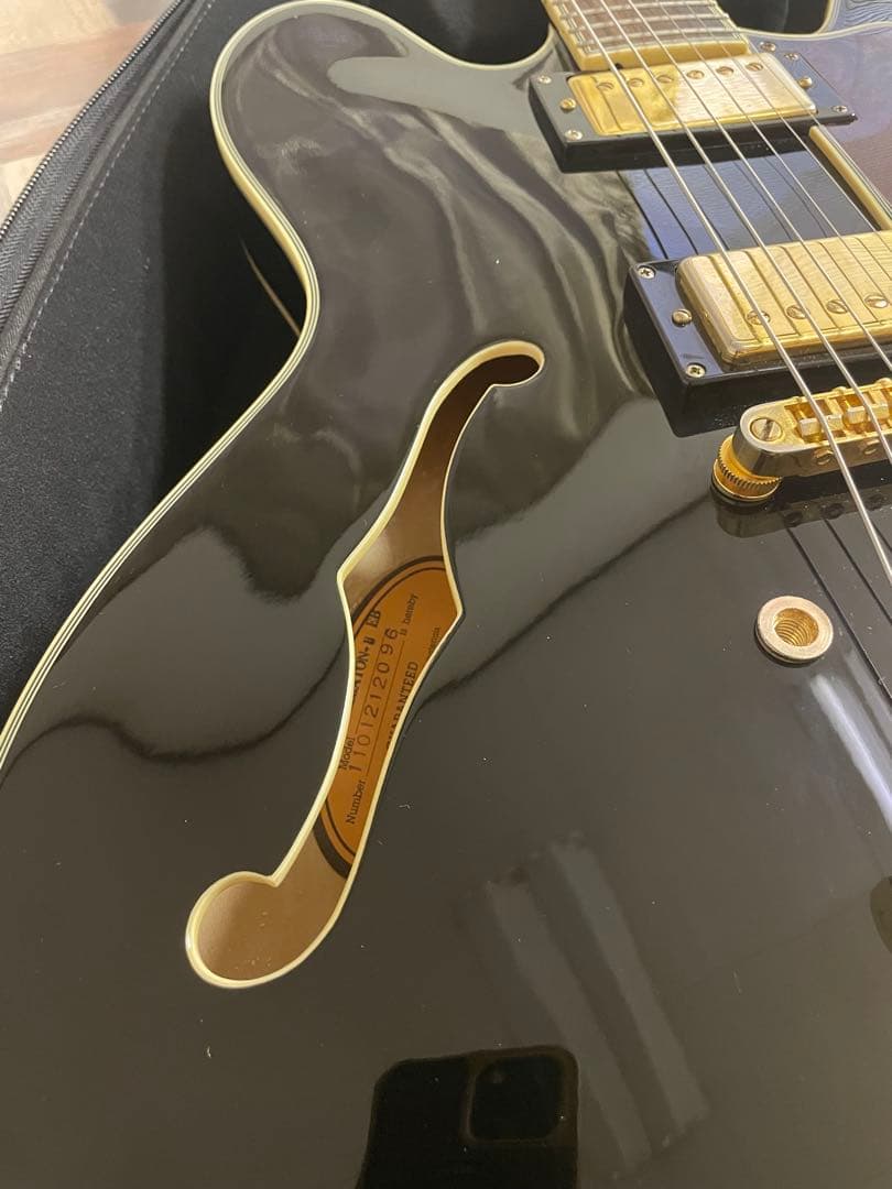 EPIPHONE エピフォン SHERATON シェラトン Ⅱ EB