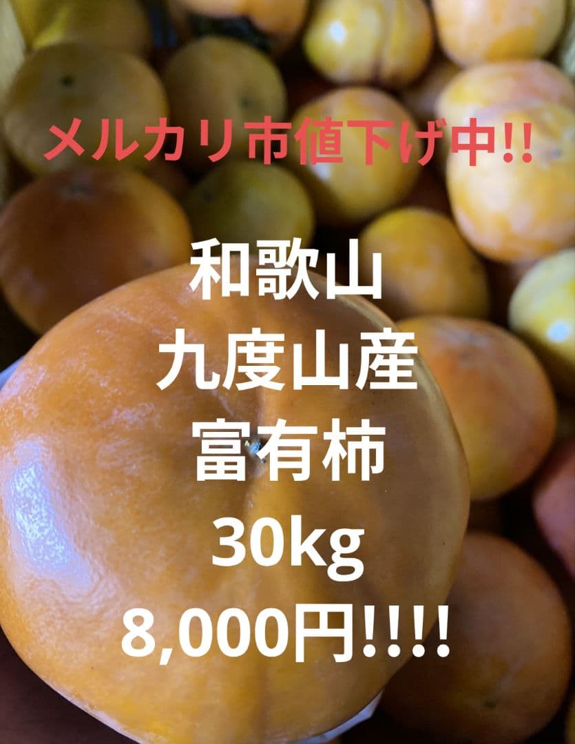 和歌山　富有柿　ご家庭用