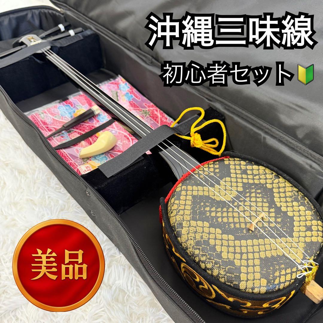 「美品」沖縄三線　蛇皮　合皮　ソフトケース付　初心者　三味線