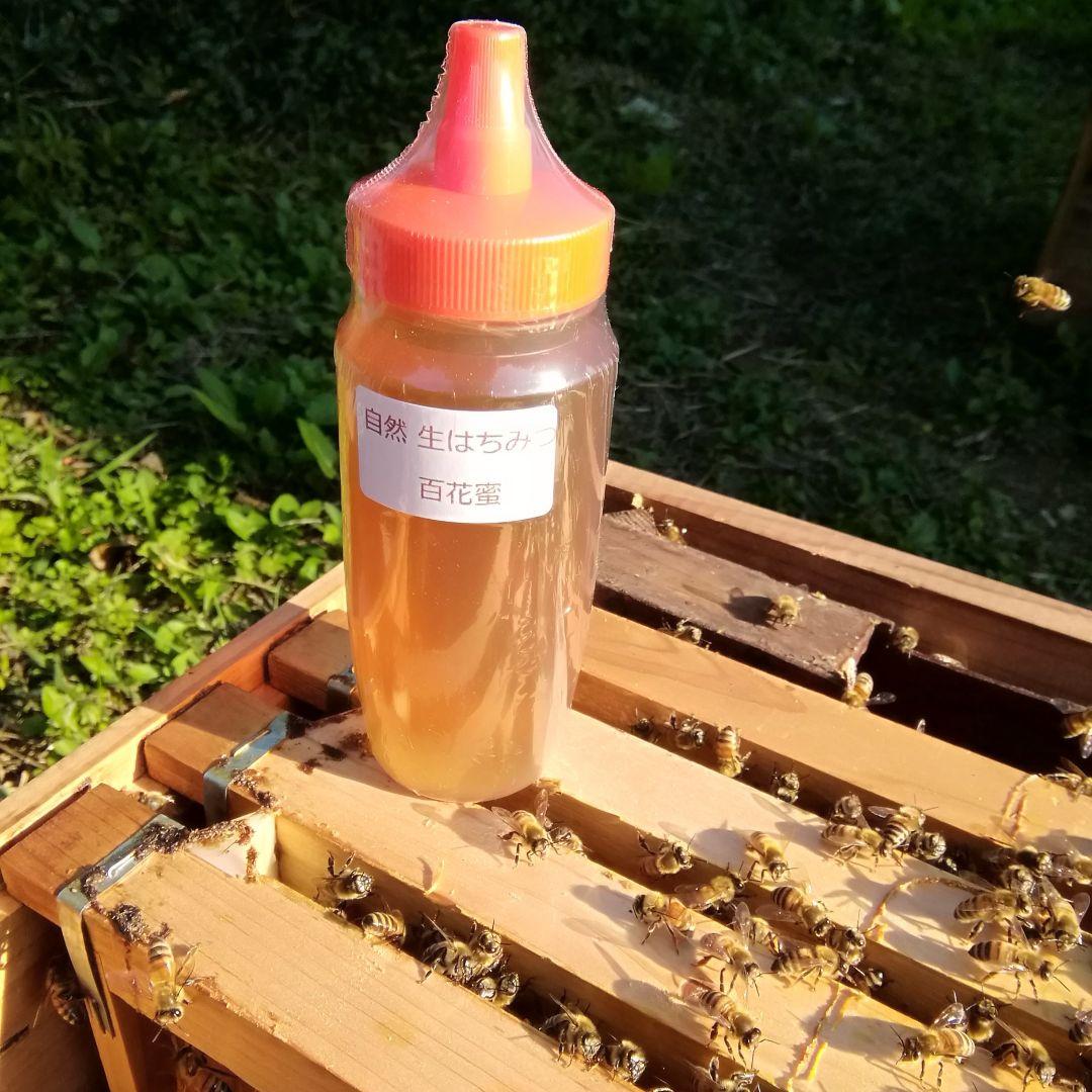 ☀️アカシア蜜５本&百花蜜５本　生はちみつ　自家製蜂蜜