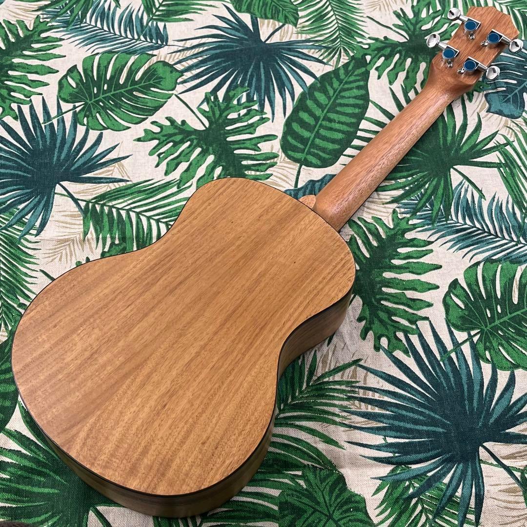 【入門セット】musicアカシアコア材のテナーウクレレ【ウクレレ専門店】