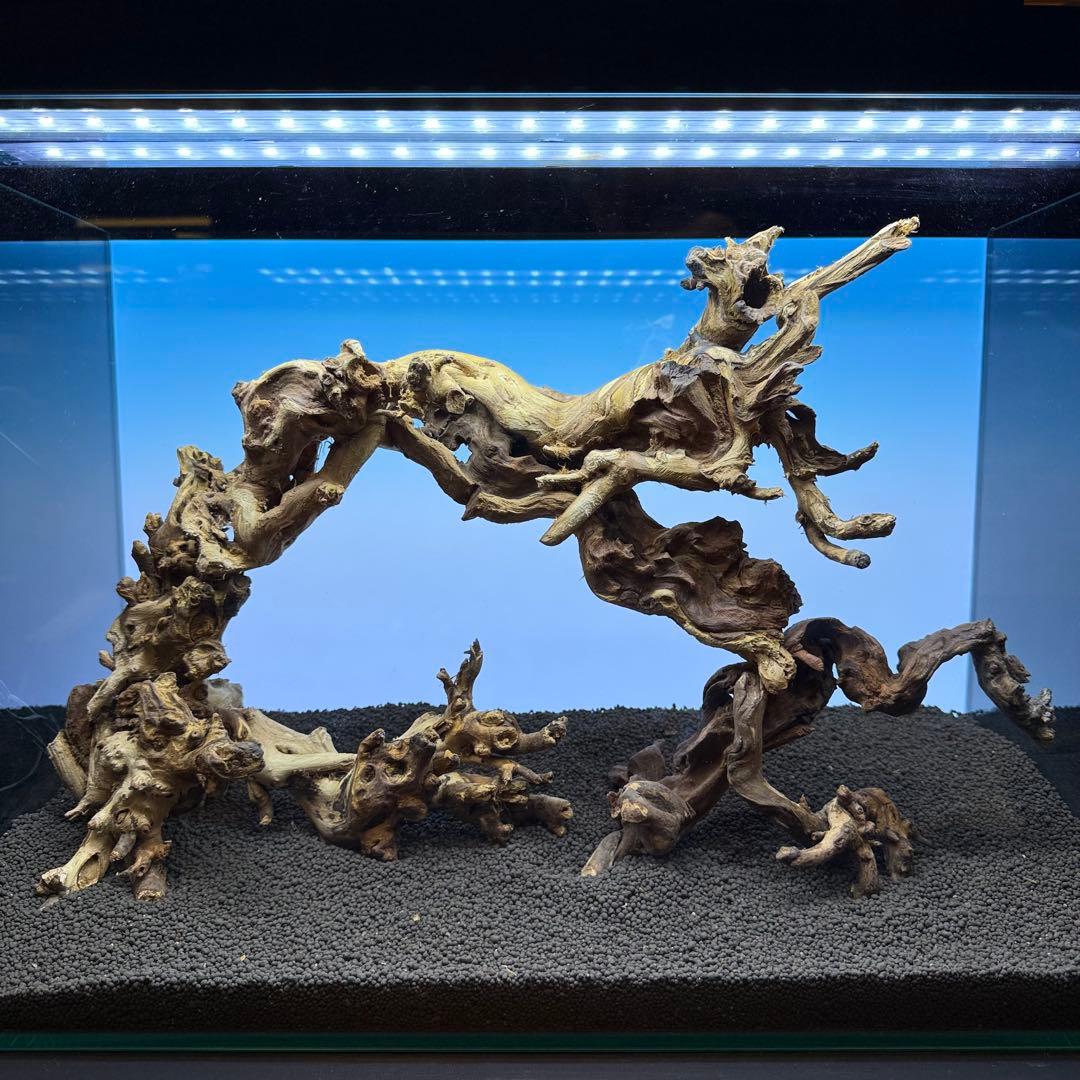 MSW-7099 天然流木 3本セット　枝流木　アクアリウム