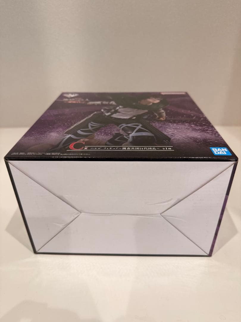 進撃の巨人 C賞 ハンジ フィギュア～調査兵団14代団長～