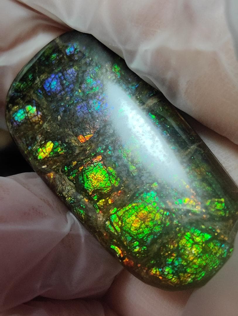 アンモライト　ルース　最後の画像２枚裏面発色　24-0735 39000