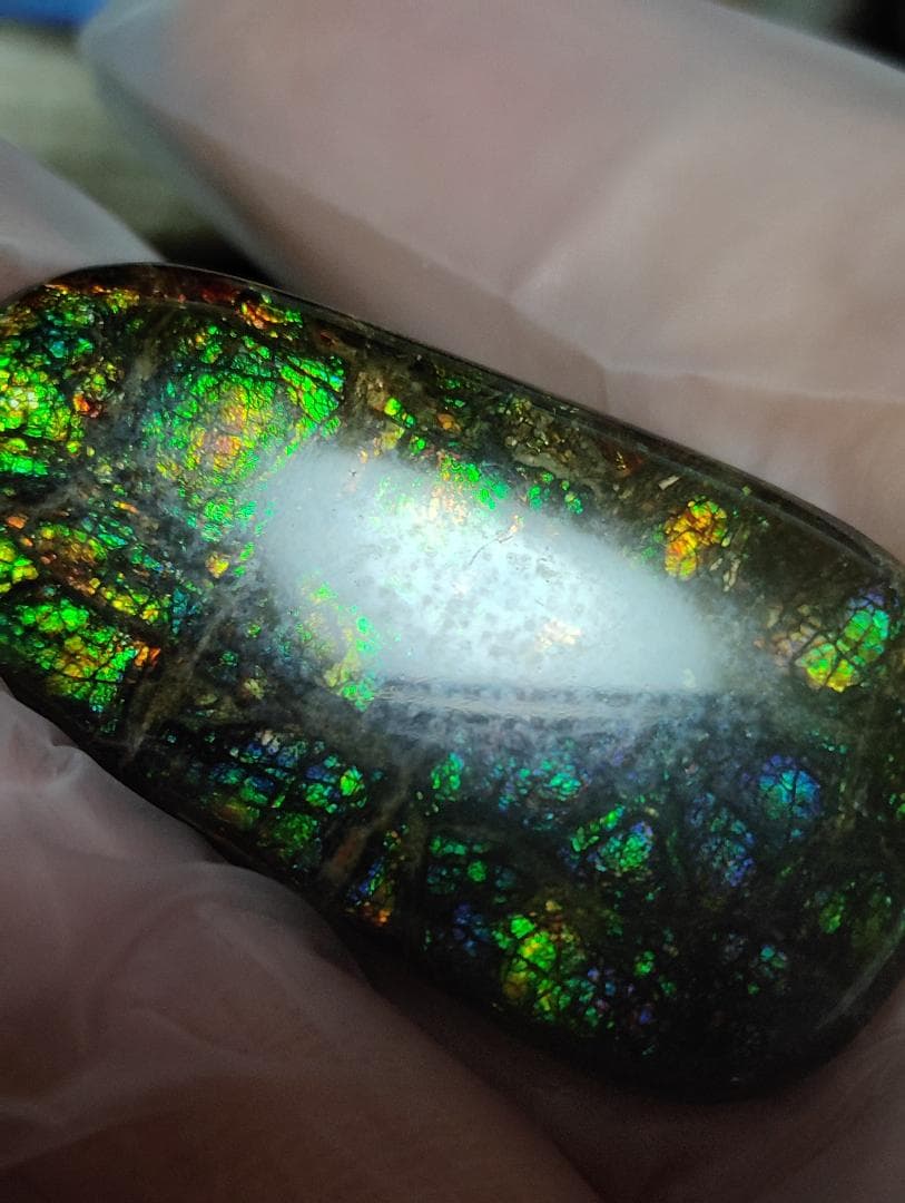 アンモライト　ルース　最後の画像２枚裏面発色　24-0735 39000