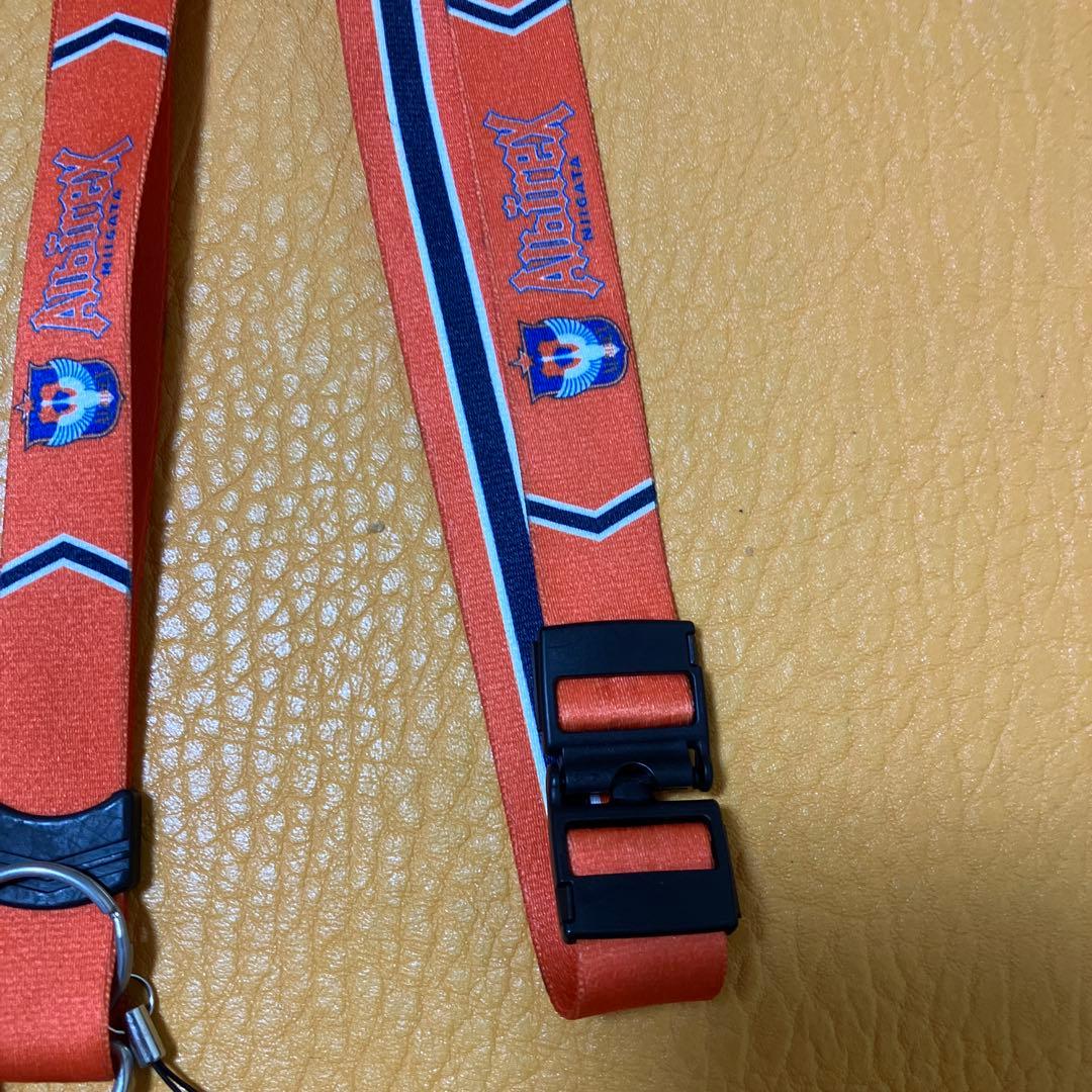 【ネックストラップ付】アルビレックス新潟 2017 ホームユニフォーム Oサイズ