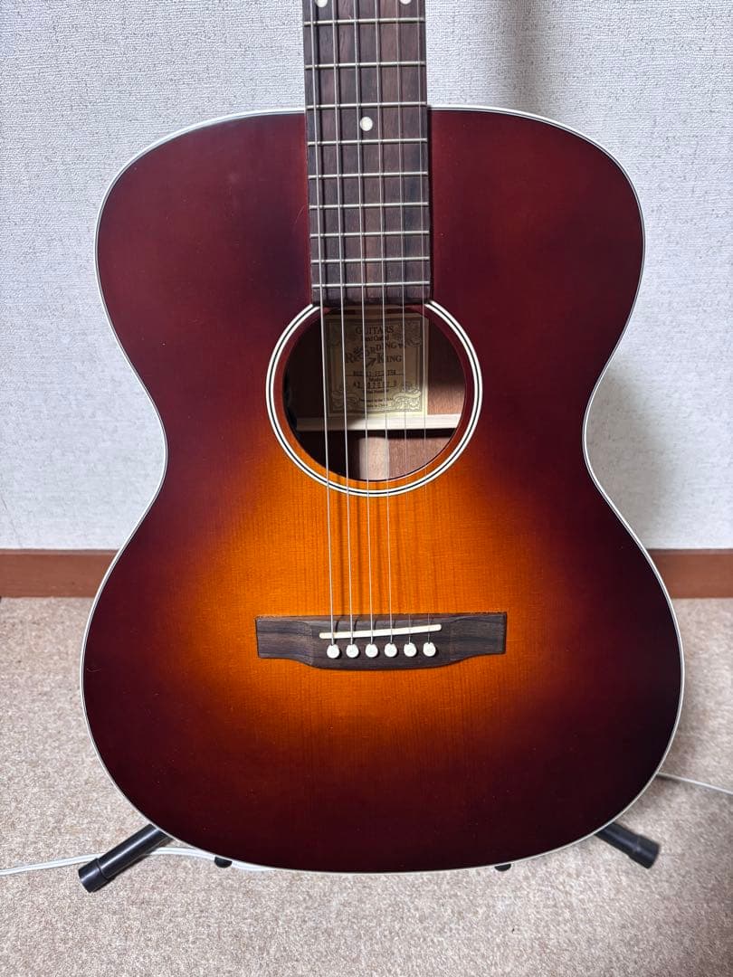 オール単板Recording King トリプルオーエレアコースティックギター