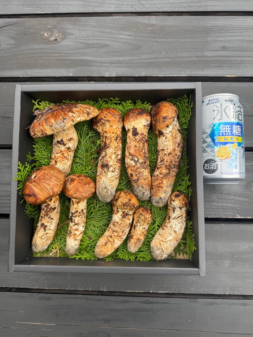 国産松茸、長野県信州600㌘10月18日11時30分とれたてクール便対応します￼