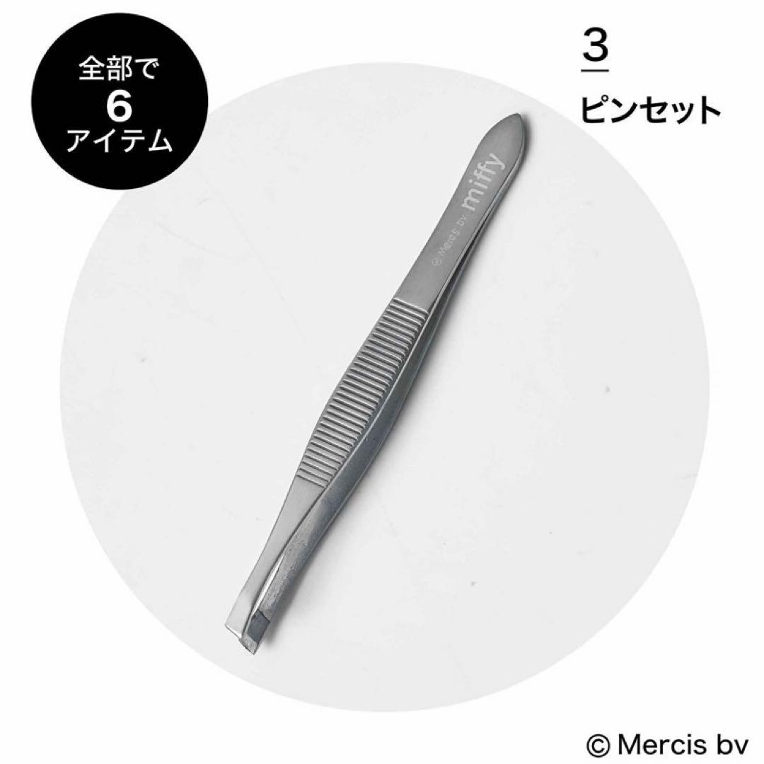 ちゅん太 管理 21 InRed インレッド 3月号 付録 ③