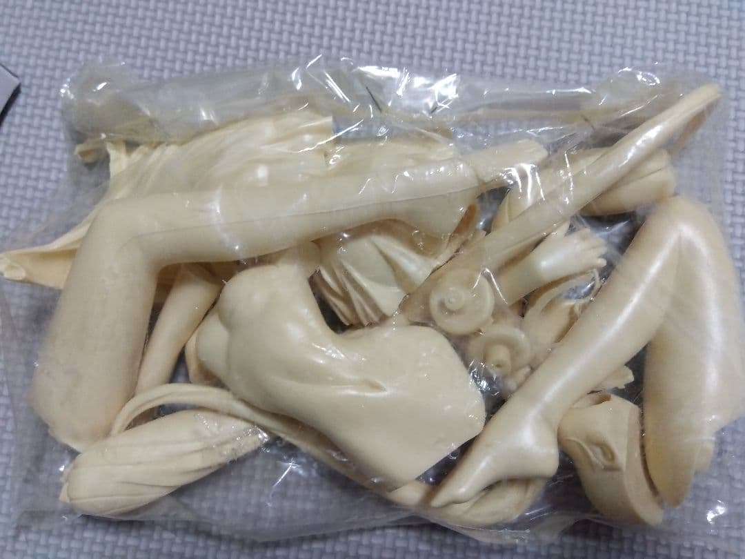 ムサシヤ　1／5スケールガレージキット　ホシノルリ