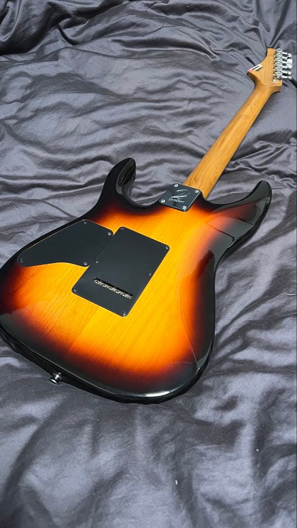 ギター T's guitars DST 24