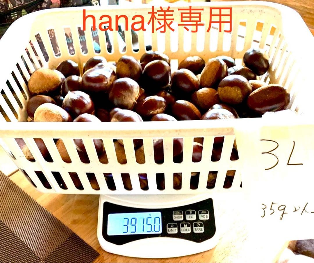 hana出品　3Lサイズ4kg