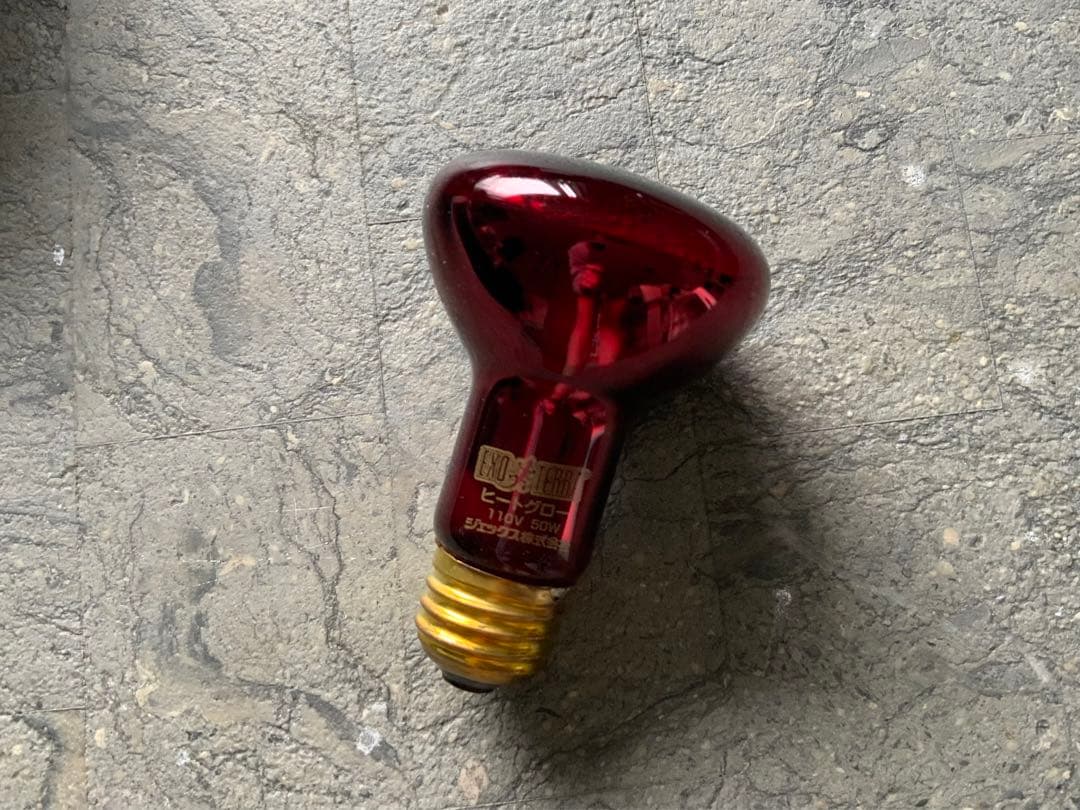 【爬虫類等】保温器具3点セット【GEX・みどり商会】