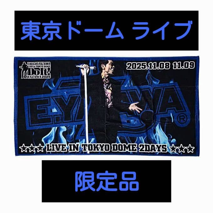 矢沢永吉 Do It! 2025 東京ドーム スペシャルビーチタオル