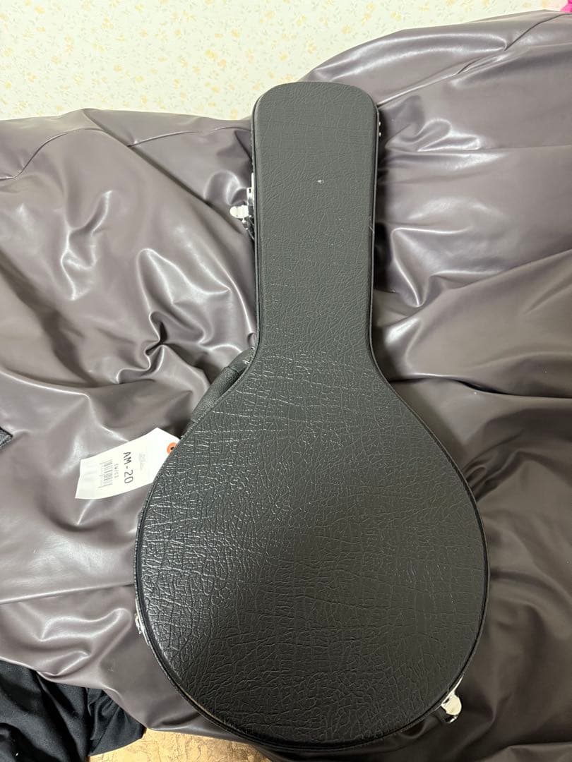 Aria AM-20 マンドリン 本体　ケース付き