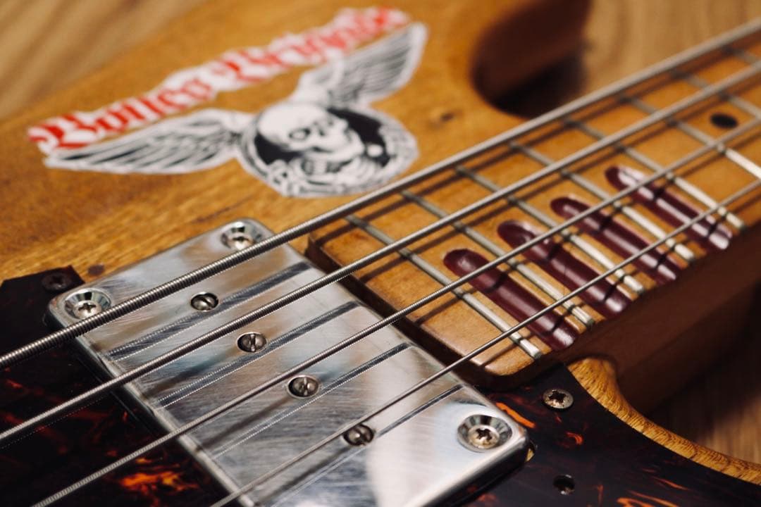 ベース ビリーシーン Billy Sheehan