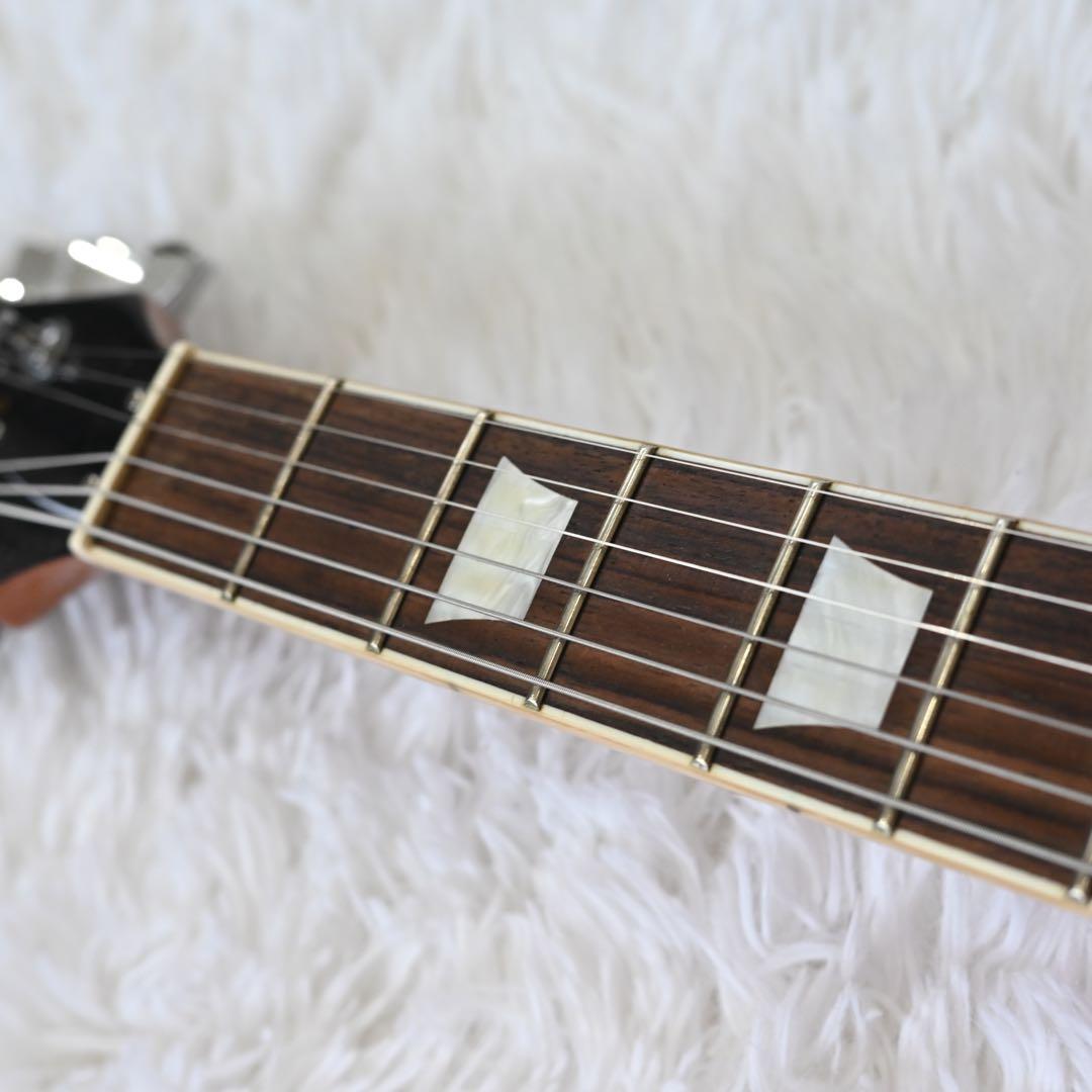 バッカス　レスポールスタンダードタイプ　ソフトケース付き