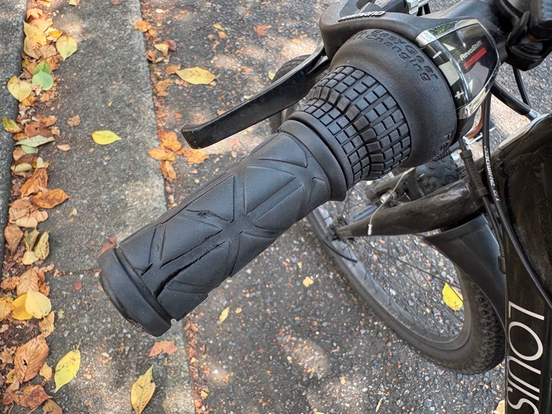 限定SALE 10/11迄★キッズバイクMTB BLACK 22インチ ルイガノ