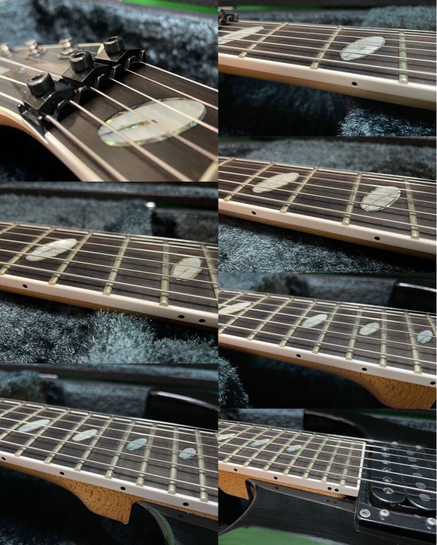 Caparison Dellinger ハードケース キャパリソン デリンジャー