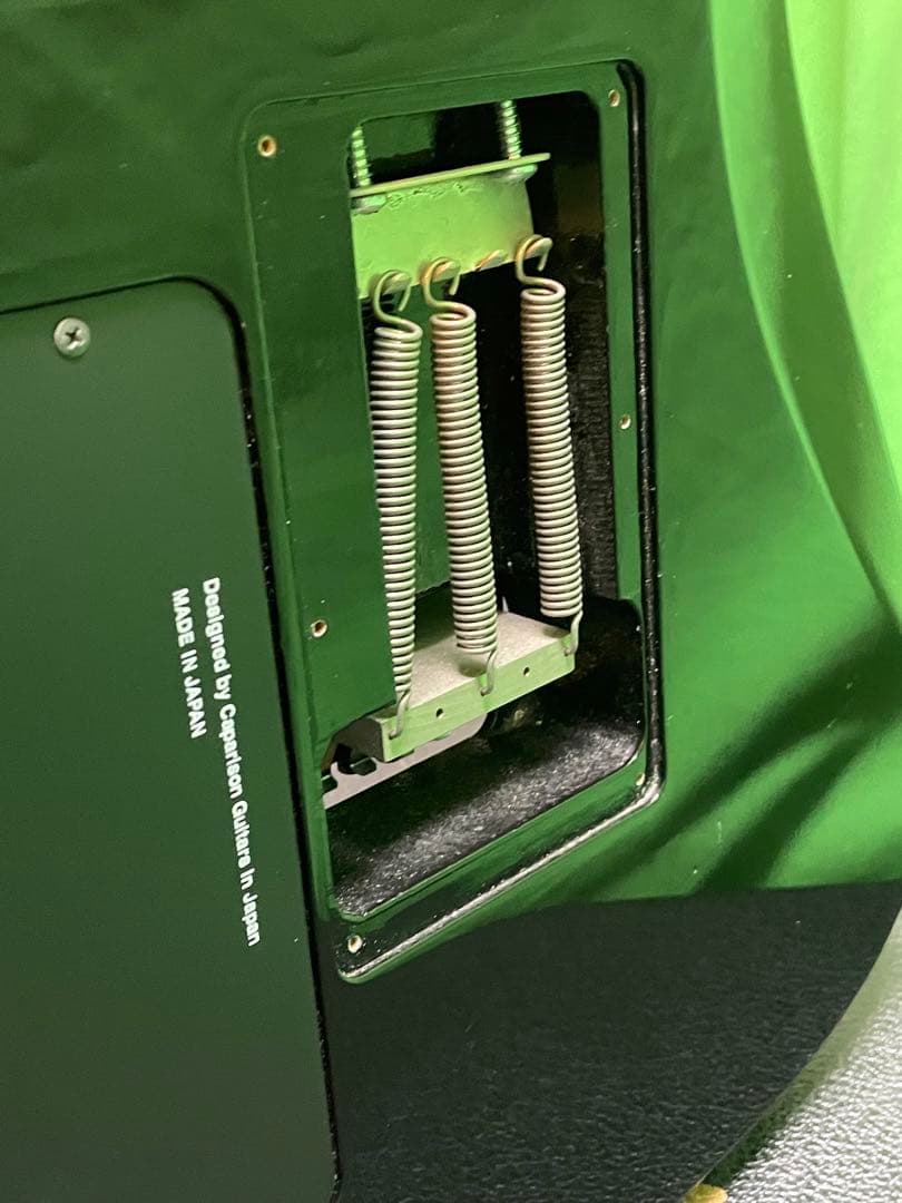 Caparison Dellinger ハードケース キャパリソン デリンジャー