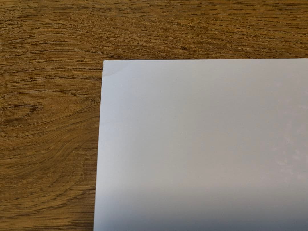 オアシス oasis live '25 パンフレット ショッパー