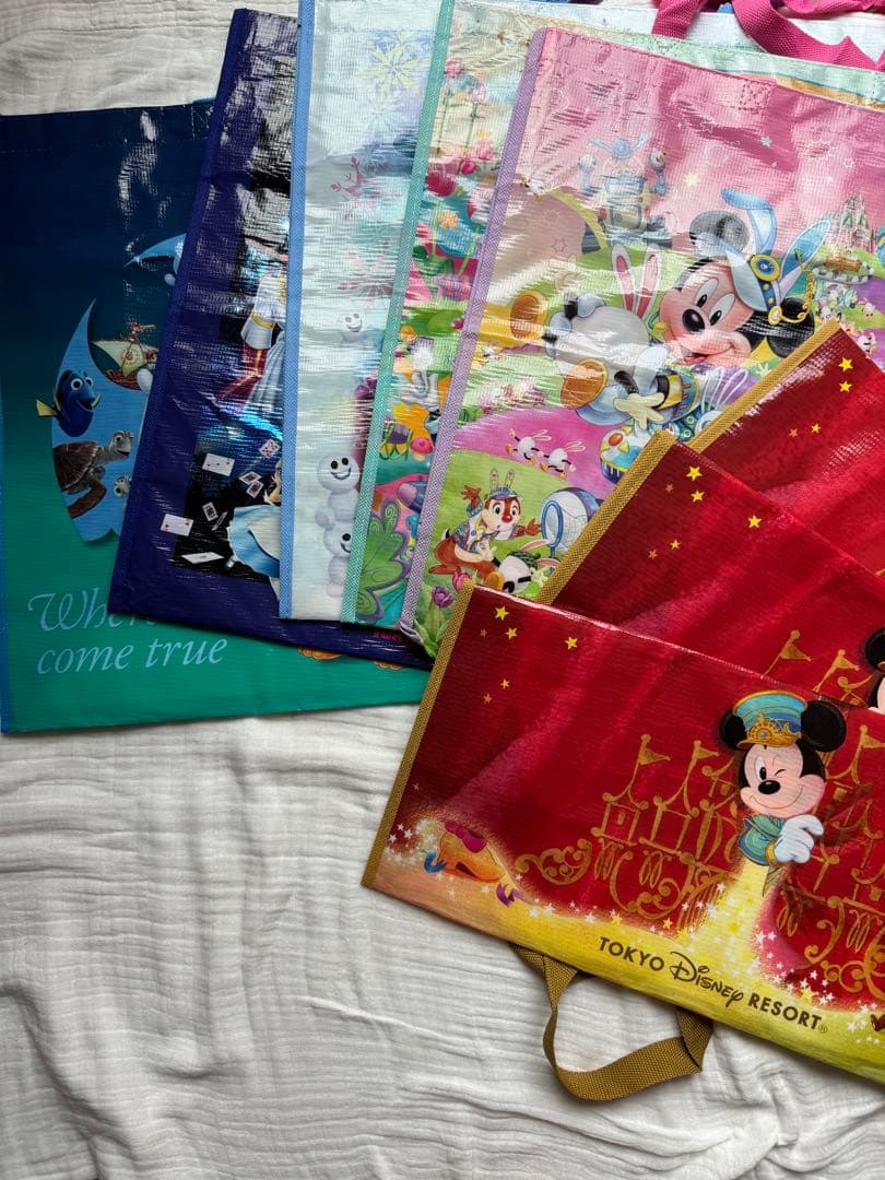 東京ディズニーリゾート ビニールバッグセット