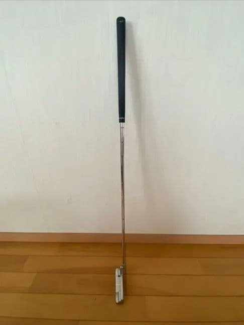 BRIDGESTONE GOLF BG-100 アイアン & パター