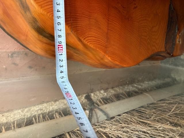 本屋久杉　屋久杉　オブジェ　灯籠　工芸品　天然木　希少　※商品説明必読