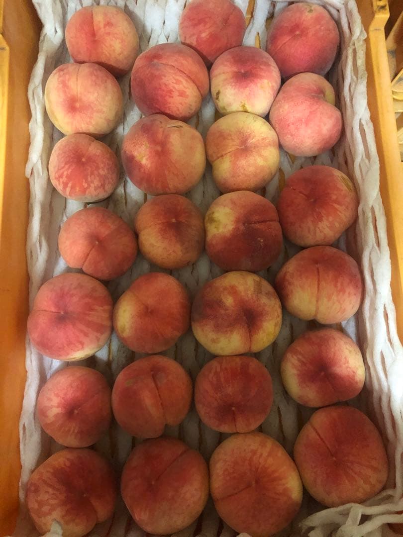 153.早勝ち福島産朝採り完熟桃箱込み15kg訳あり家庭用甘くて美味しい桃常温便
