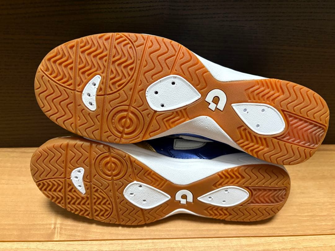 新品 24.5cm デスポルチ テッサライトID PRO I DS-1732TS