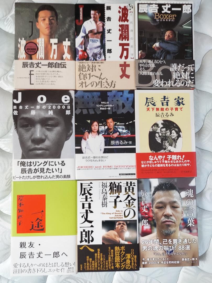 ボクシング　辰吉丈一郎　書籍９冊セット