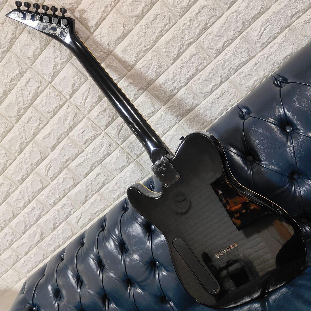 FERNANDES TEJ-STD LIMITED EDITION 布袋