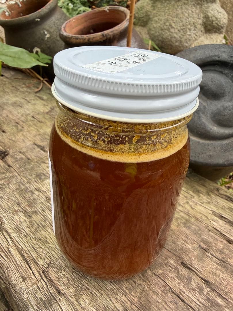 ハチミツ　日本蜜蜂の蜂蜜　巣箱違い谷違いの花粉入りはちみつ　奥山の奥