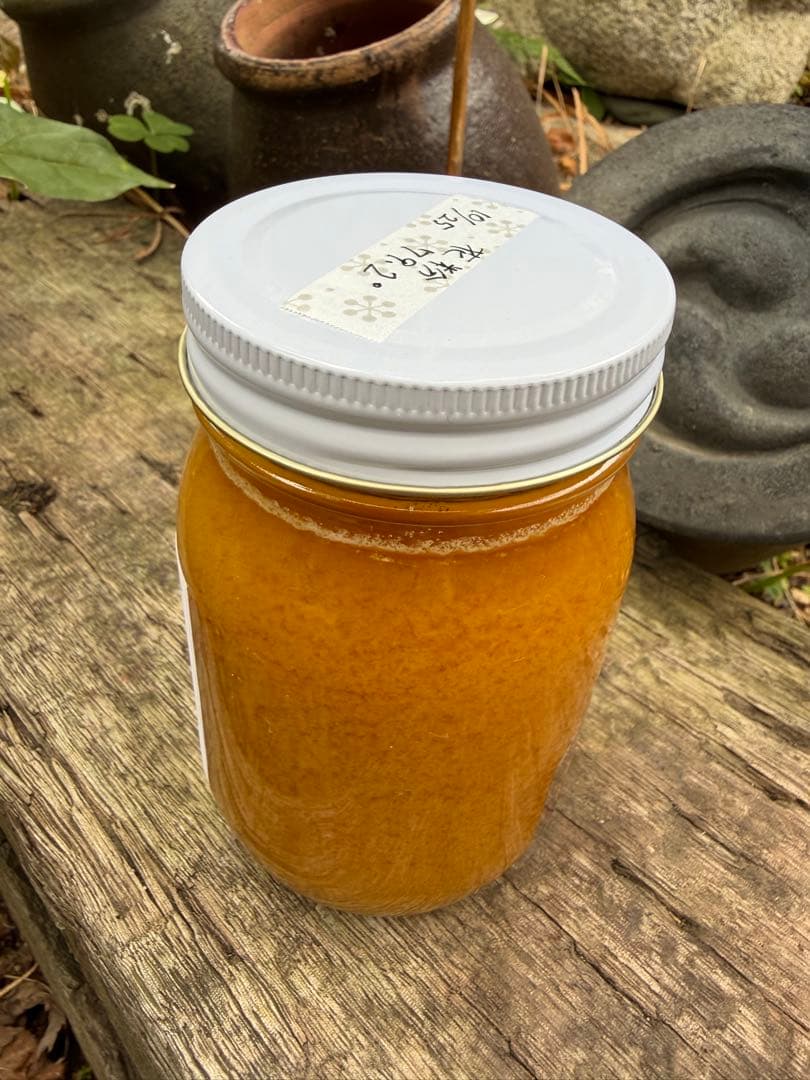 ハチミツ　日本蜜蜂の蜂蜜　巣箱違い谷違いの花粉入りはちみつ　奥山の奥