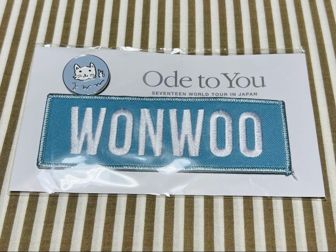 SEVENTEEN ウォヌ ワッペン&バッジ 2点セット
