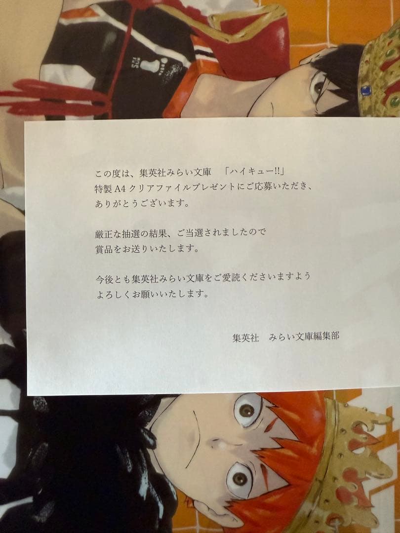 ハイキュー　まんがノベライズ第一弾　200限定抽選クリアファィル　まとめセット