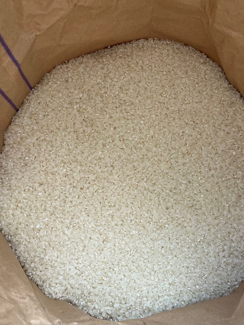 山梨県産 コシヒカリ 30kg 武川米　玄米　《本日最終価格》