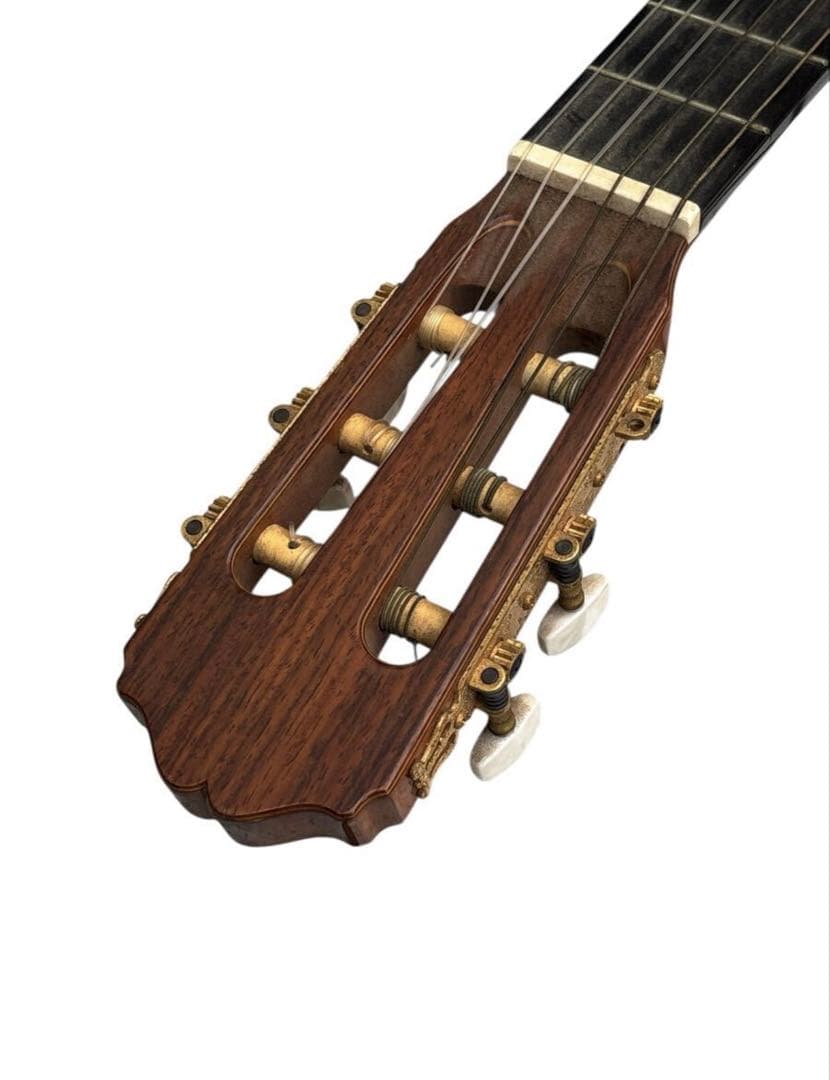 タカミネ　Takamine No.5 クラシックギター /弦楽器