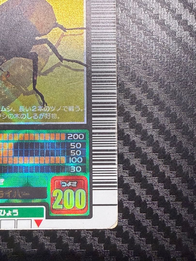 と*】様 ヘルクレスオオカブト カード 002