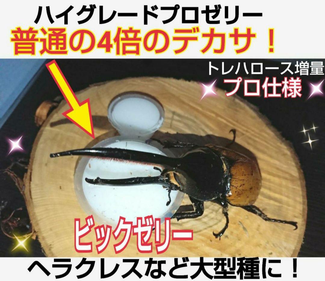 超ビッグサイズ！ハイグレードプロゼリー200個　普通の4倍以上のデカサ！プロ仕様