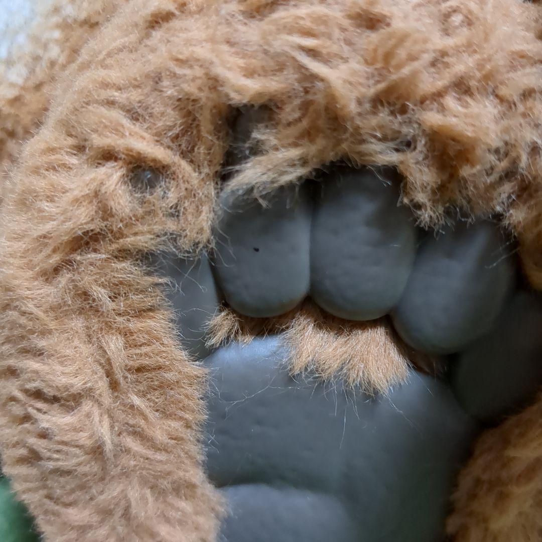 ファーリアル　こぐまのカビー