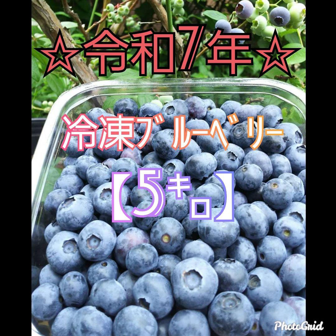 ☆令和7年 冷凍ブルーベリー☆農薬不使用 5㌔