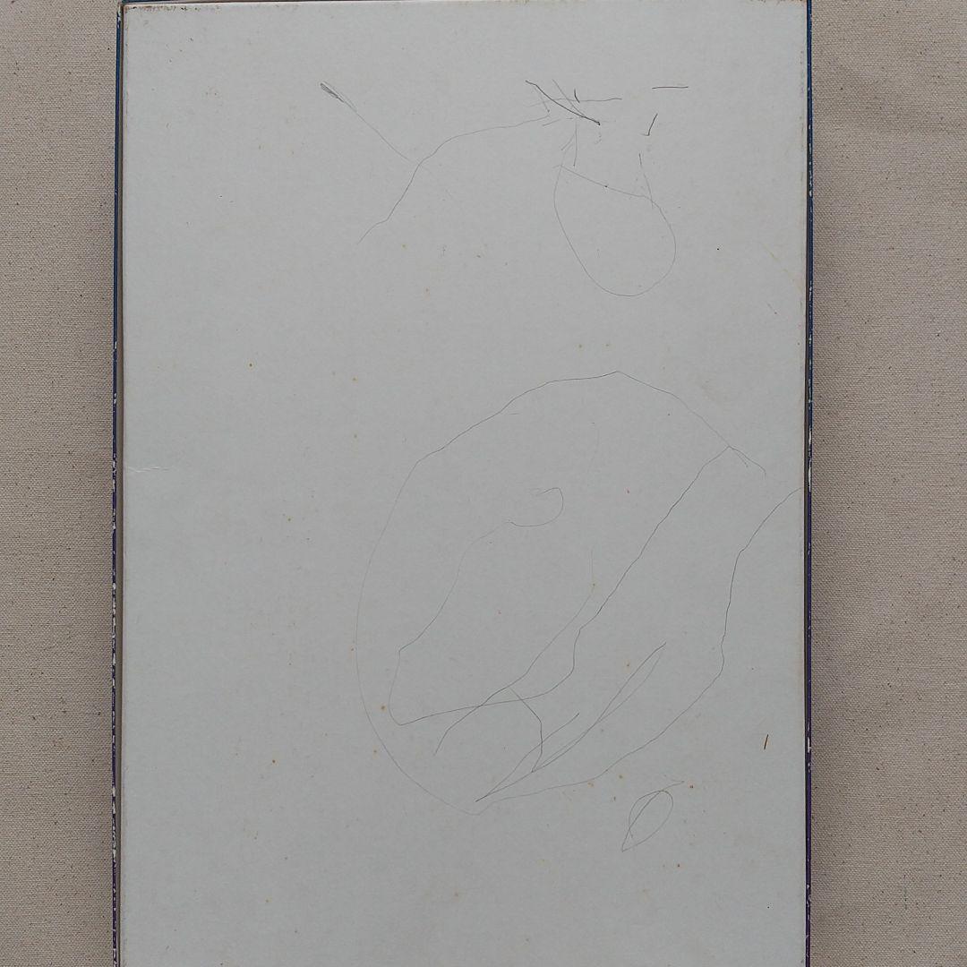 ディズニー ファンティリュージョンジグソーパズル&おまけのショッピングバッグ